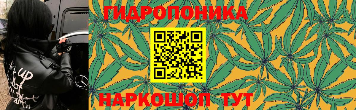 Конопля Amnesia  Бошки Шишки конопля  Вход с VPN  Барнаул 